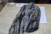 shornollata