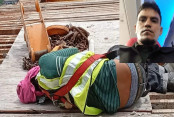 shornollata