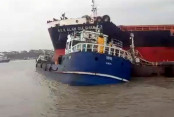 shornollata