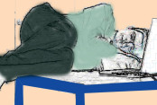 shornollata